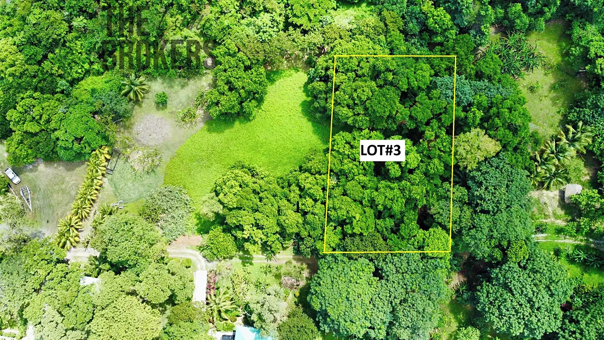 Prodej stavebního pozemku 2090 m²